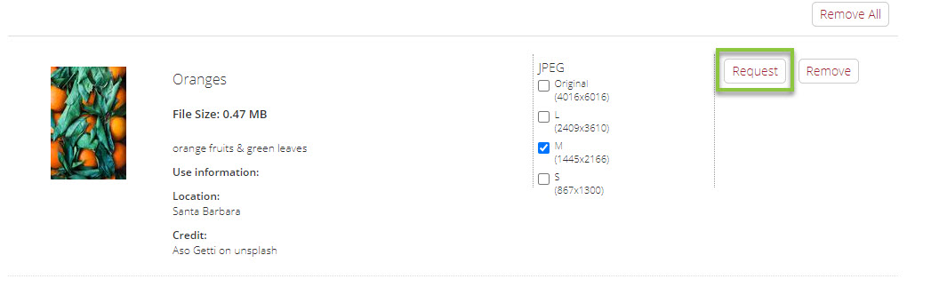 DAM_Dowload_Queue_Request_Individual_Assets.jpg