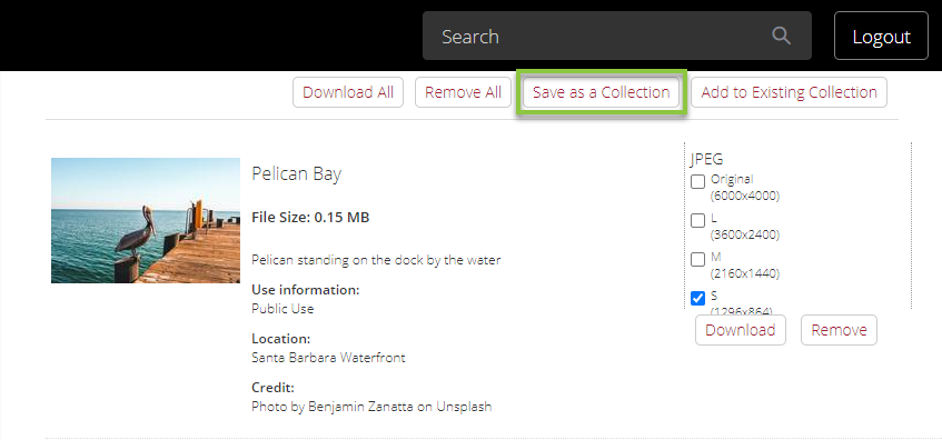 DAM_Download_Queue_Save_as_Collection.png