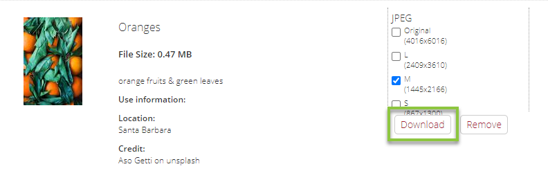 DAM_Download_Queue_Download_Individual_Assets.png