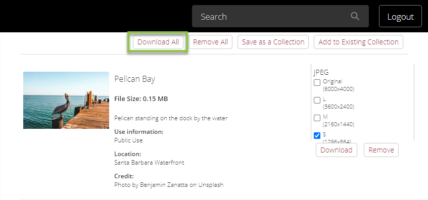 DAM_Download_Queue_Download_All.png