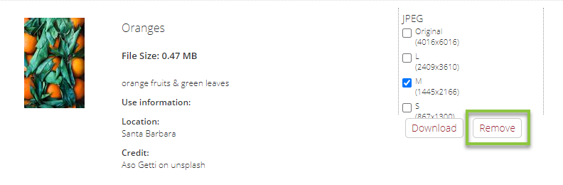 DAM_Download_Queue_Remove_Individual_Assets.png