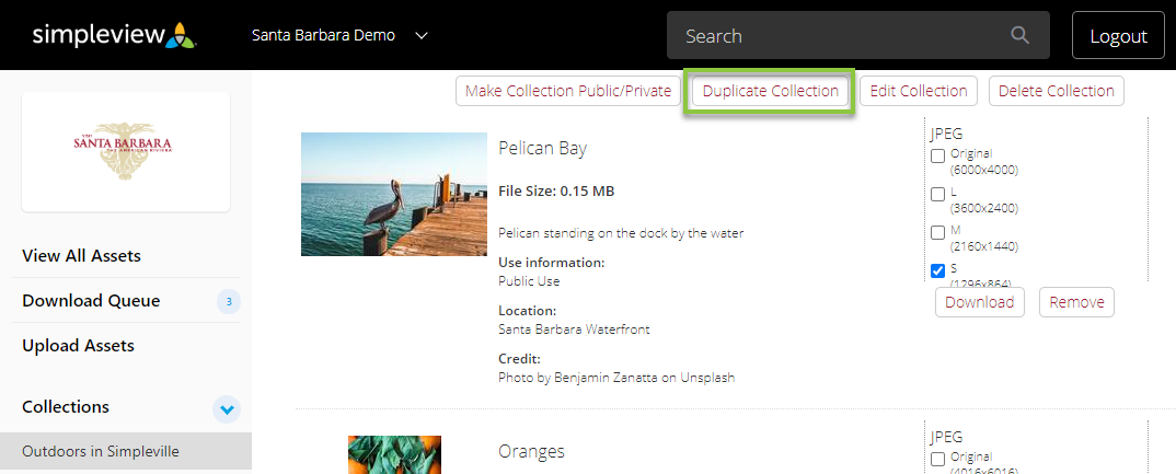 DAM_Collection_Duplicate_Collection.png
