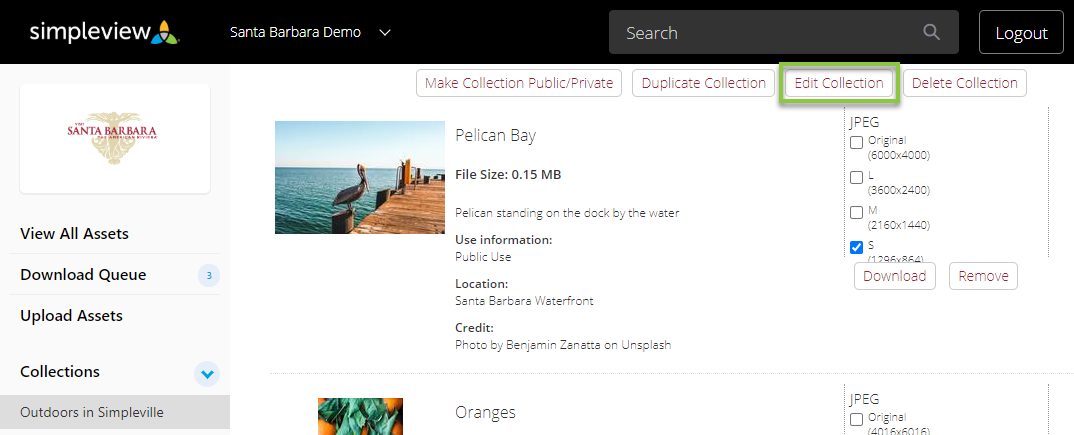 DAM_Collection_Edit_Collection.png