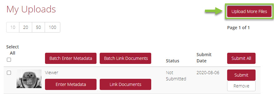 DAM_Upload_More_Files.jpg