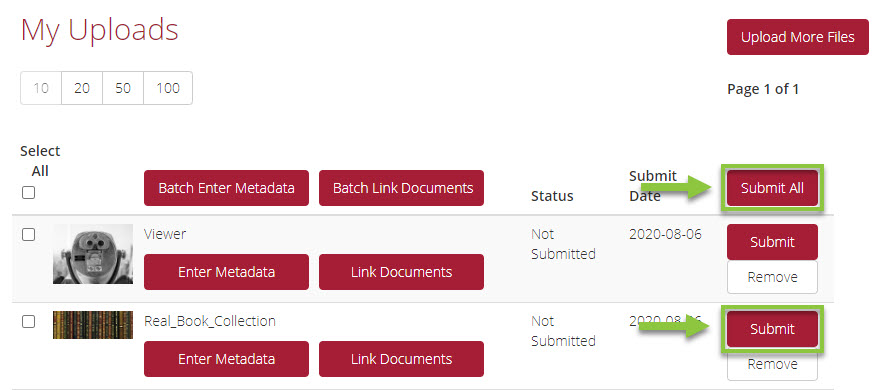 DAM_Submit_Options.jpg