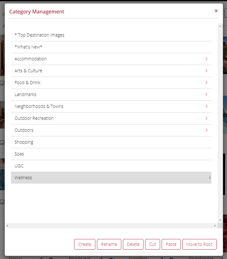 Categories_Category_Management.jpg