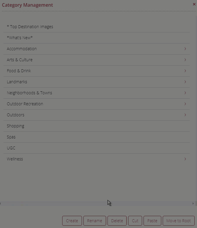 Categories_Category_Management_Create_New_Category.gif