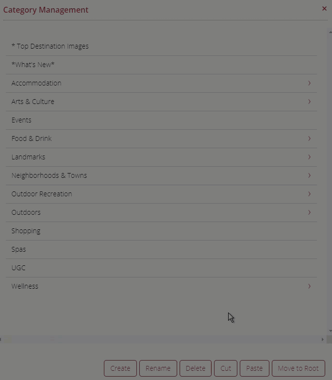 Categories_Category_Management_Create_New_Sub-Category.gif