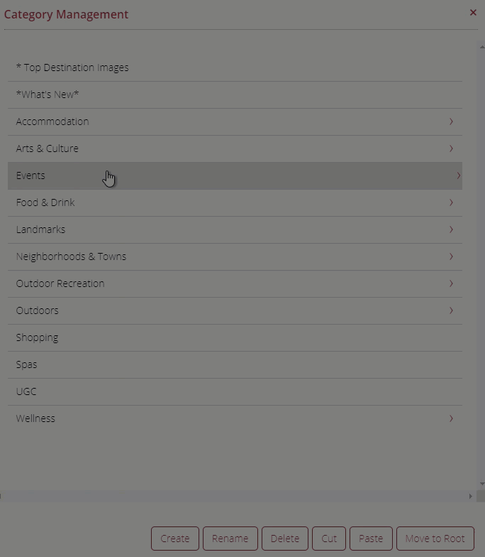 Categories_Category_Management_Rename.gif