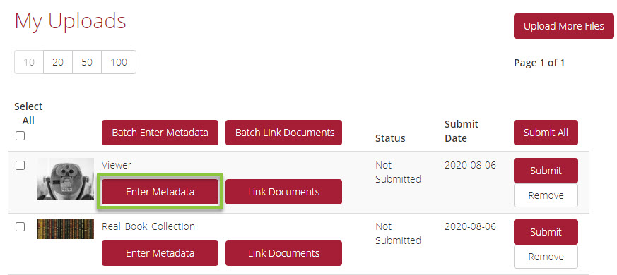 DAM_My_Uploads_Enter_Metadata_Options.jpg