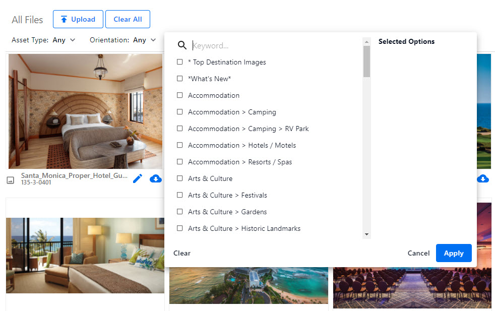 All_Assets_Categories_Filter.jpg