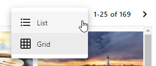 DAM_Header_List-Grid_Views.png