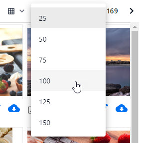 DAM_Header_Amount_of_Asset_View.png