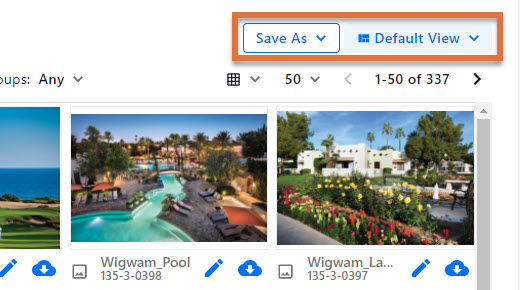 DAM_Saved_View_Options.png