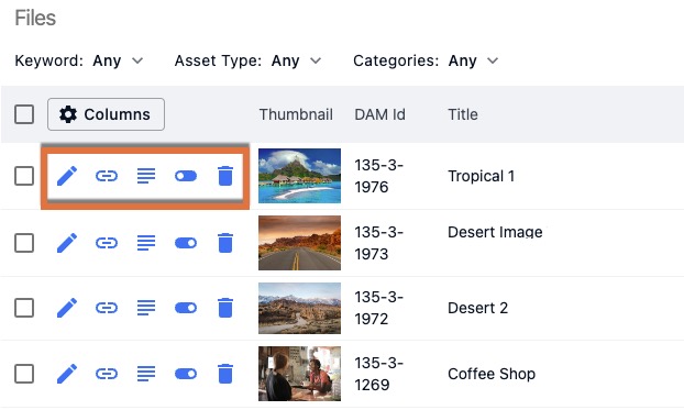 DAM_Files_Action_Icons.jpg