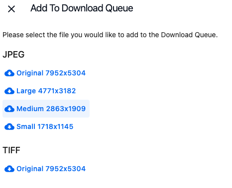 more_options_add_to_download_queue.png